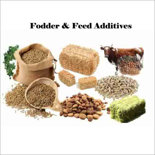 Fodder & Feed Additives