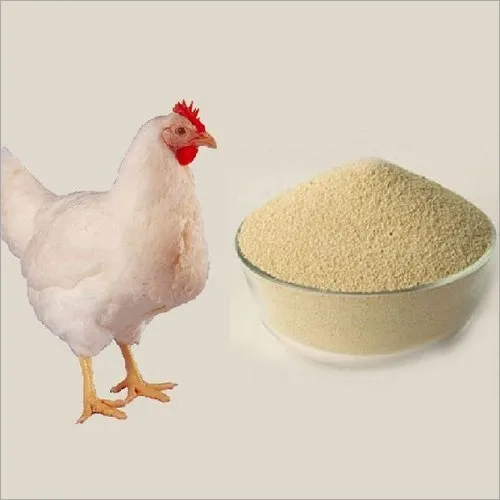 Poultry Feed Supplements