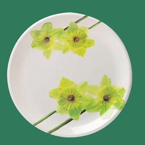  Designer Melamine Plates SET