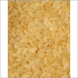 Short Grain Rice in Gwalior