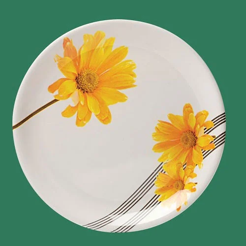  Designer Melamine Plates SET