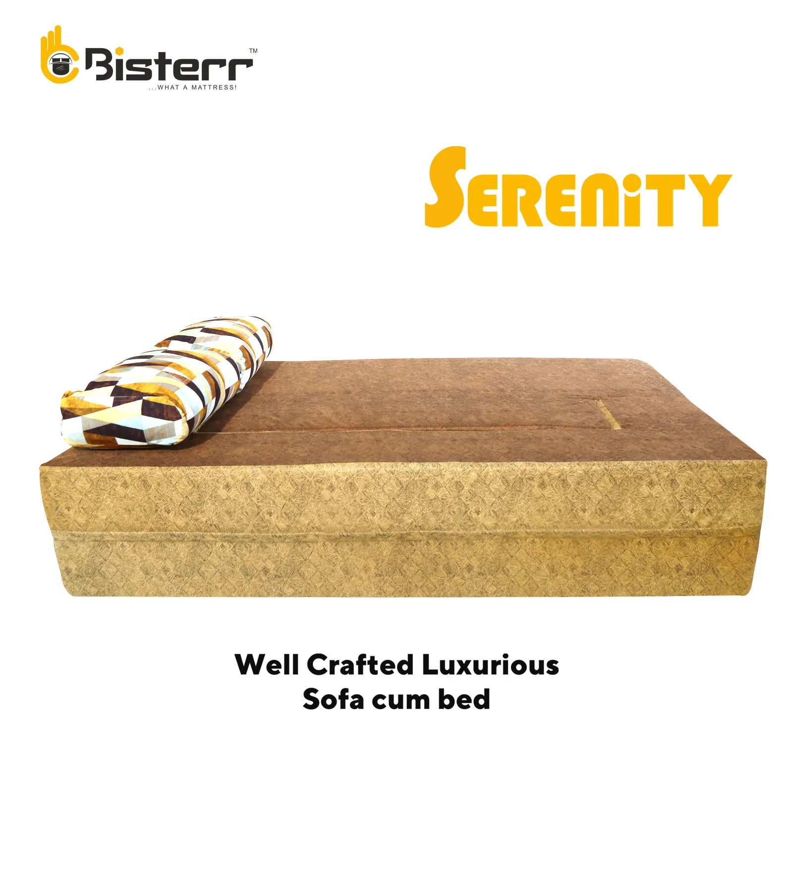 Serenity Duo-Dual Toned Trendsetting Luxurious Sofa Cum Bed