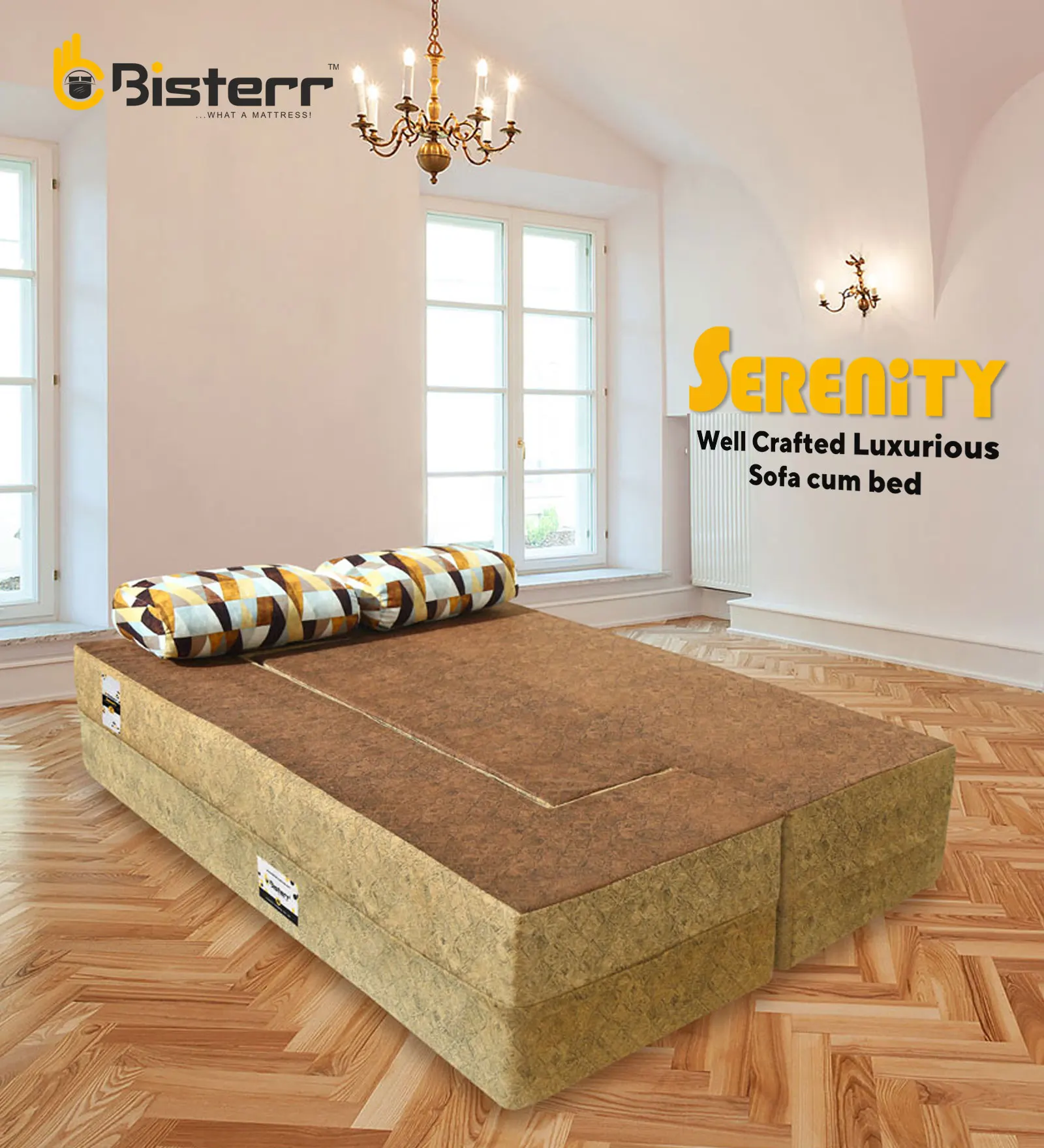 Serenity Duo-Dual Toned Trendsetting Luxurious Sofa Cum Bed