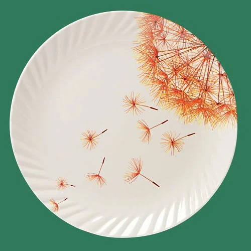  Designer Melamine Plates SET