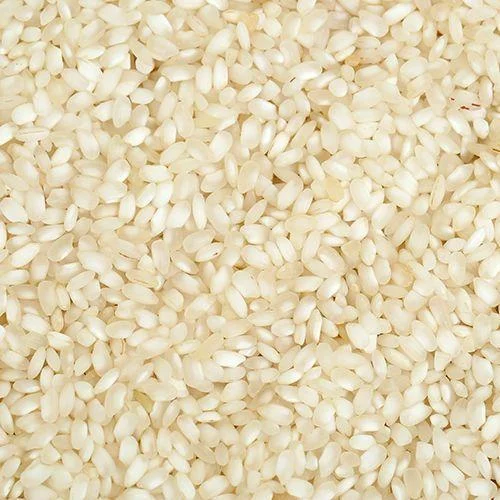 Idly Rice in Madhya Pradesh