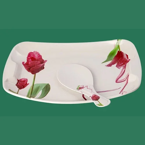 Melamine Rice Plate With Spoon