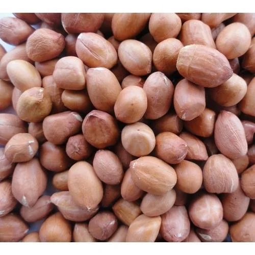 Natural Groundnut Kernels