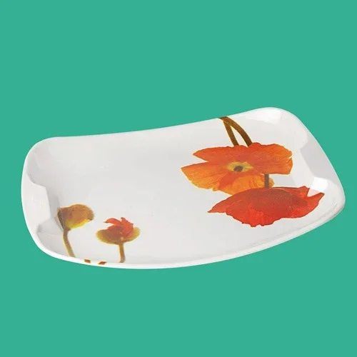 Melamine Deluxe Rice Plate