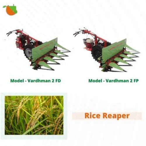 Rice Cutting Machine