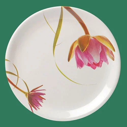  Designer Melamine Plates SET