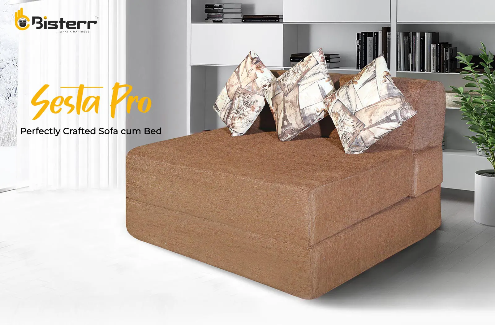 Sesta Pro-Perfectly Crafted Sofa Cum Bed