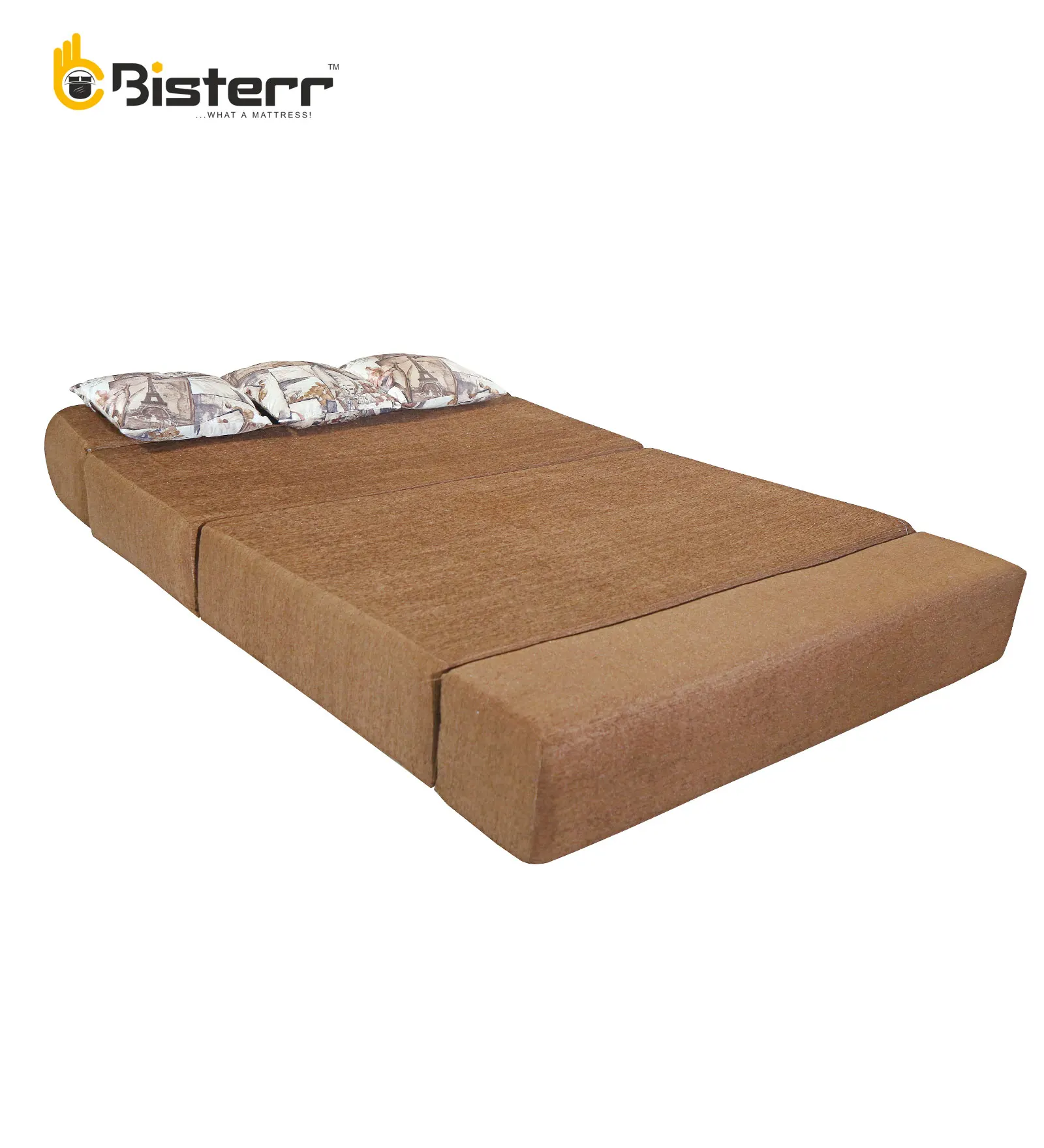 Sesta Pro-Perfectly Crafted Sofa Cum Bed