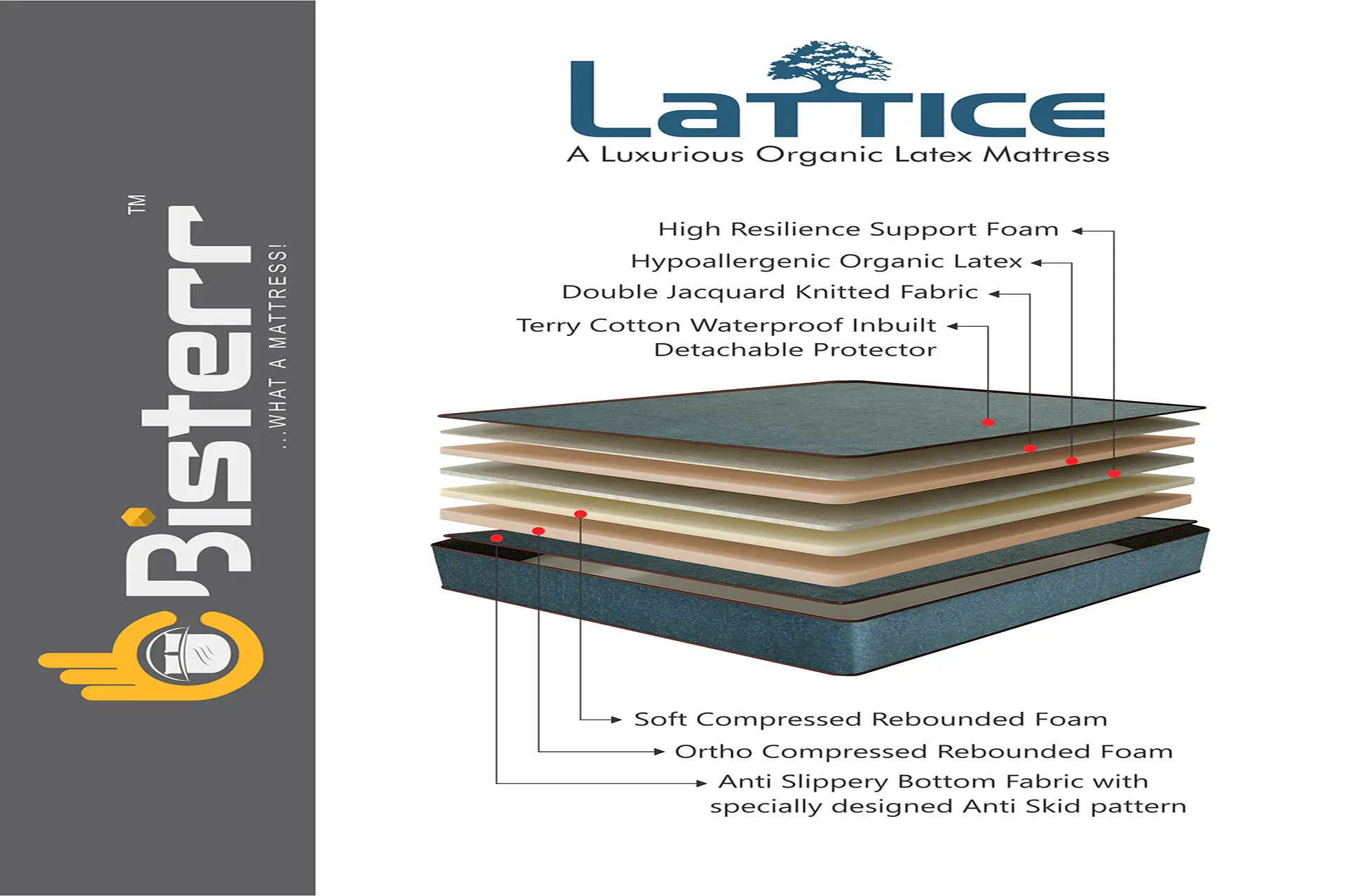 LATTICE An Organic Latex Luxurious Mattress