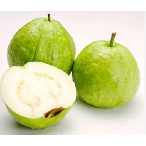 Common Fresh Guava