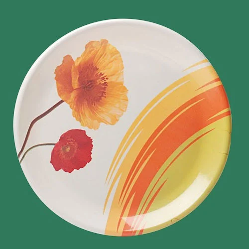  Designer Melamine Plates SET